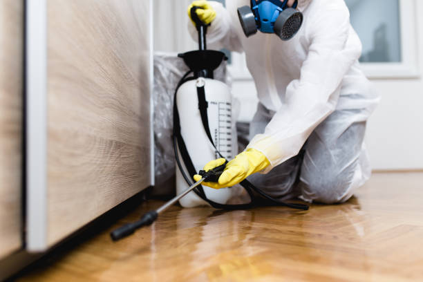 Best Residential Pest Control  in Babson Park, FL
