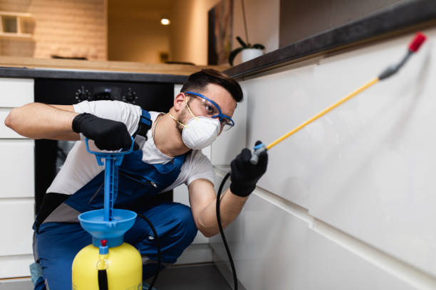 Best Local Pest Control Services  in Babson Park, FL