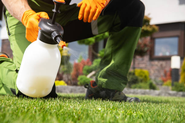 Best Termite Control Services  in Babson Park, FL