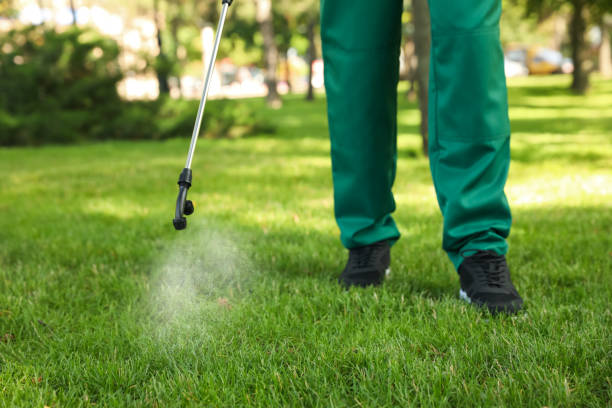 Best Pest Prevention Services  in Babson Park, FL