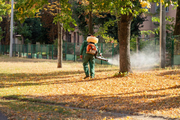 Best Pest Control Near Me in Babson Park, FL